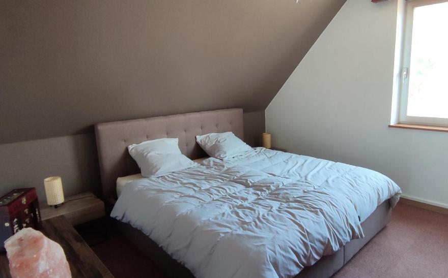 Le Strasbourgeois Apartment Илкирш-Графенщаден Екстериор снимка