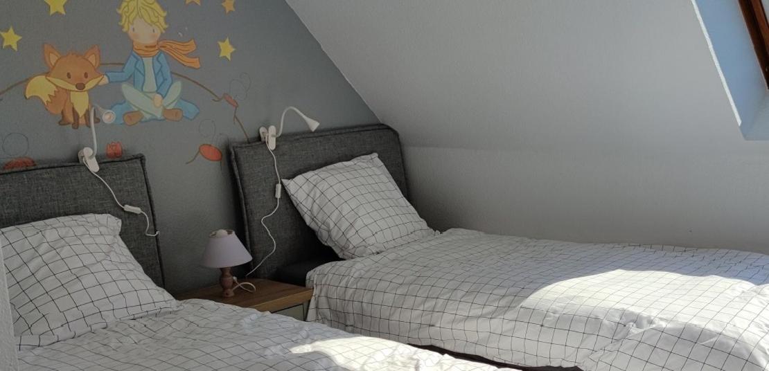 Le Strasbourgeois Apartment Илкирш-Графенщаден Екстериор снимка