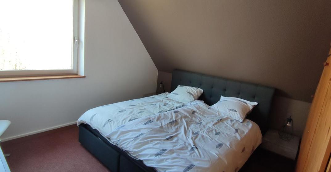 Le Strasbourgeois Apartment Илкирш-Графенщаден Екстериор снимка
