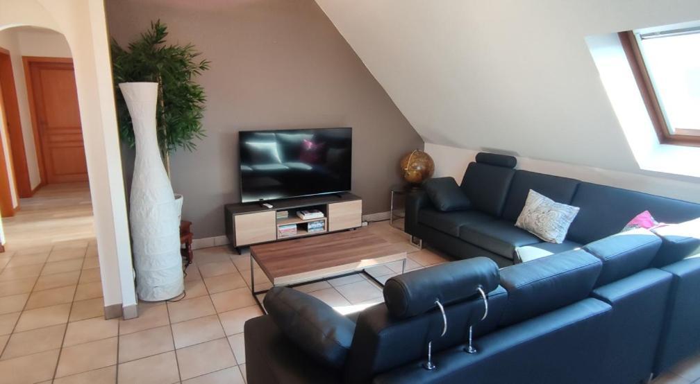Le Strasbourgeois Apartment Илкирш-Графенщаден Екстериор снимка