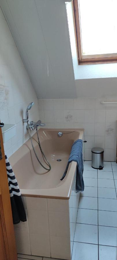 Le Strasbourgeois Apartment Илкирш-Графенщаден Екстериор снимка